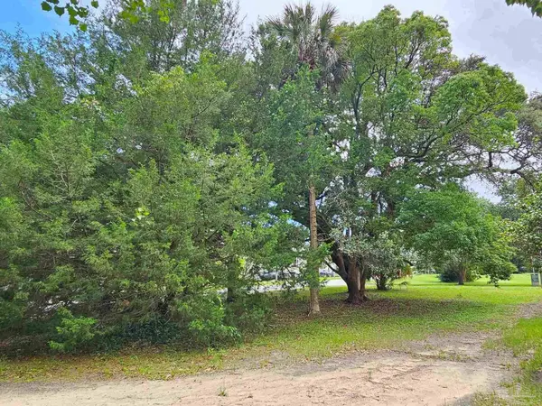1000 BLK N Palafox, Pensacola, FL 32501