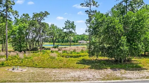 Lot 24 Blue Heron, Waverly, GA 31565