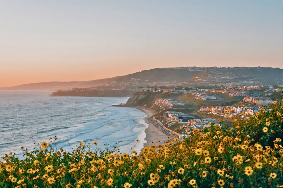 Dana Point