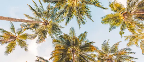 AdobeStock_545905919