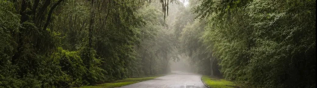 Jasper County vs. Beaufort County: A Lowcountry Homebuyer’s Guide
