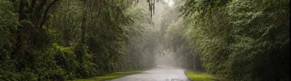 feature image of Jasper County vs. Beaufort County: A Lowcountry Homebuyer’s Guide