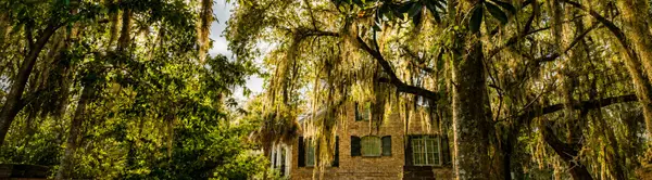 Novant Health’s $320 Million Bluffton Hospital Moves Forward: What It Means for Lowcountry Homebuyers,William "Stacy" Whitt