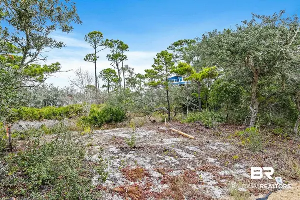 0 Zeanah Road, Gulf Shores, AL 36542