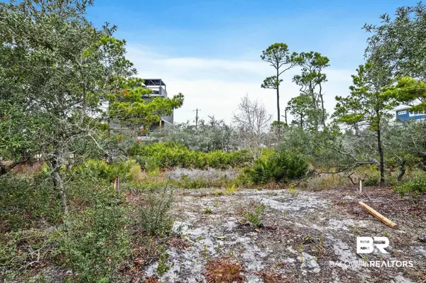 0 Zeanah Road, Gulf Shores, AL 36542