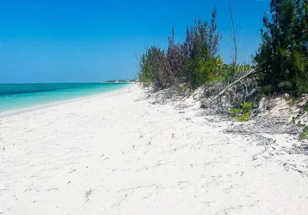 2 BEACH FRONT LOTS, North Caicos, BC