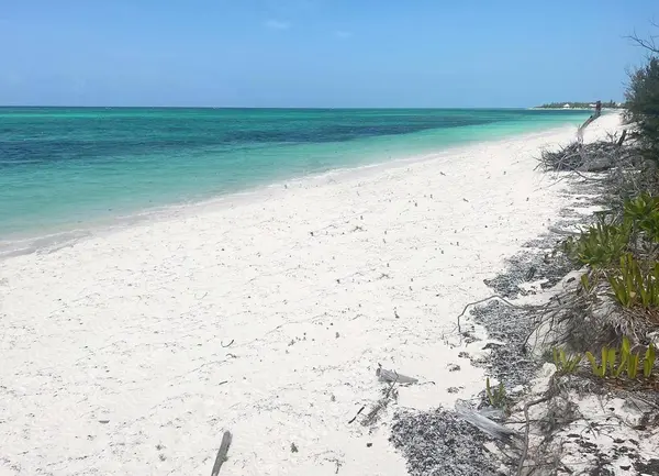 2 BEACH FRONT LOTS, North Caicos, BC