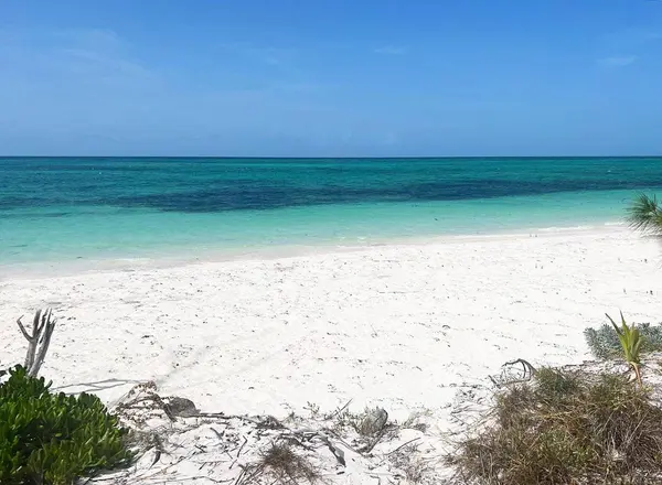 2 BEACH FRONT LOTS