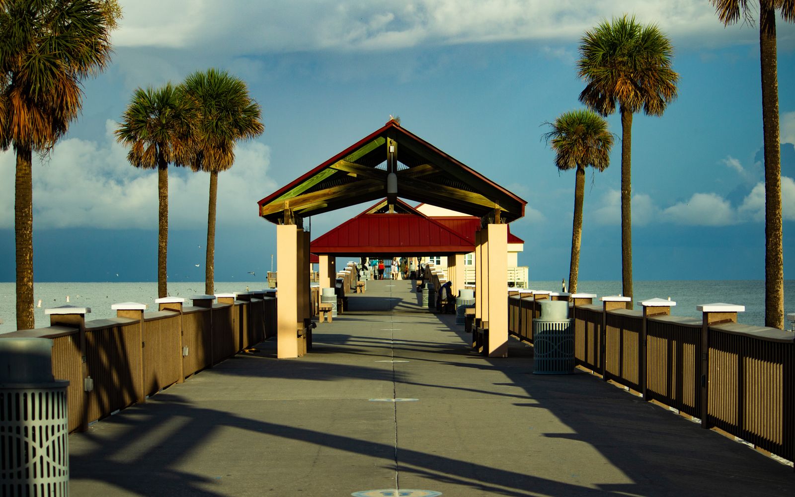 Palm trees along a Florida beach and ocean