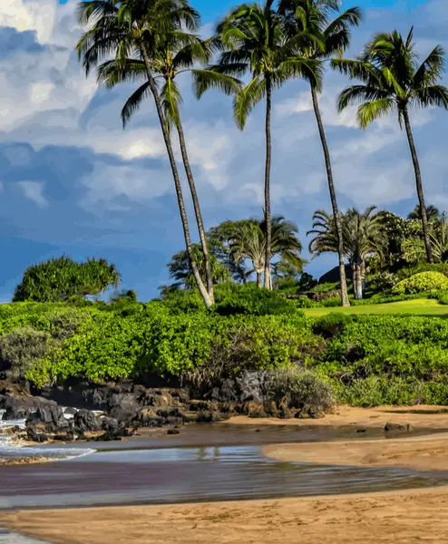 Wailea, Kihei, HI