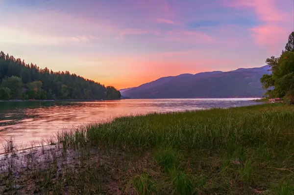 AdobeStock_228613220_whitefish