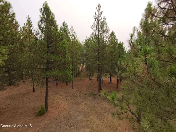 NA 11th Ave, Spirit Lake, ID 83869