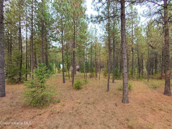 NA 11th Ave, Spirit Lake, ID 83869