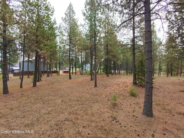 NA 11th Ave, Spirit Lake, ID 83869