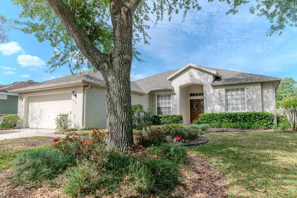19106 Abercorn Place, Lutz, FL 33558
