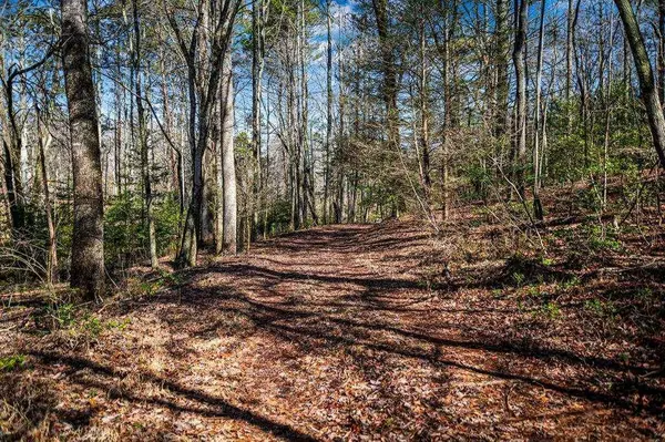 Trct C Captains CV, Blairsville, GA 30512