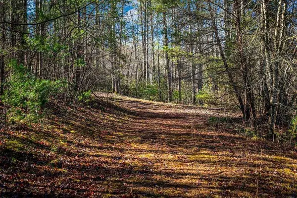 Trct C Captains CV, Blairsville, GA 30512