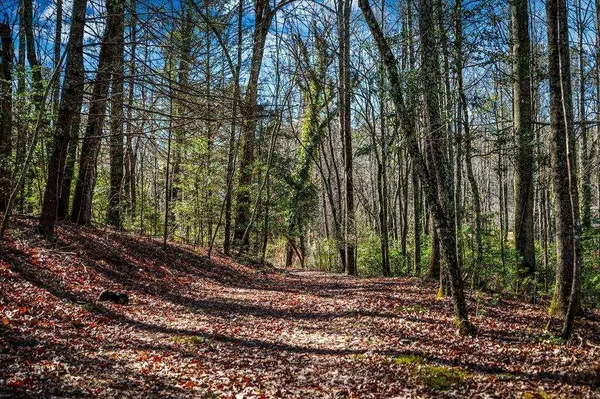 TRCT B Captains CV, Blairsville, GA 30512