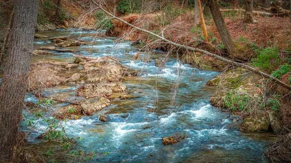 164 Water Dance TRL, Blue Ridge, GA 30513