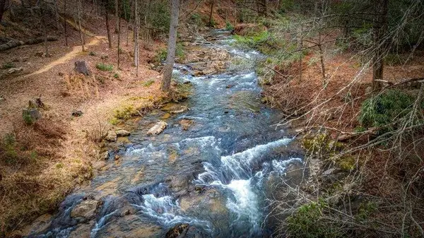 164 Water Dance TRL, Blue Ridge, GA 30513