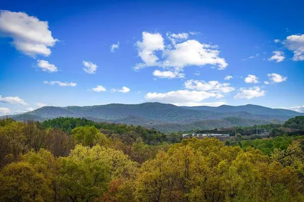 167 Cohutta Sunset Drive, Blue Ridge, GA 30513