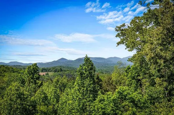 479 Big Timber RD, Mineral Bluff, GA 30559