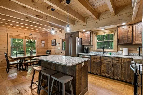 391 Little Bushy Head RD, Blue Ridge, GA 30513