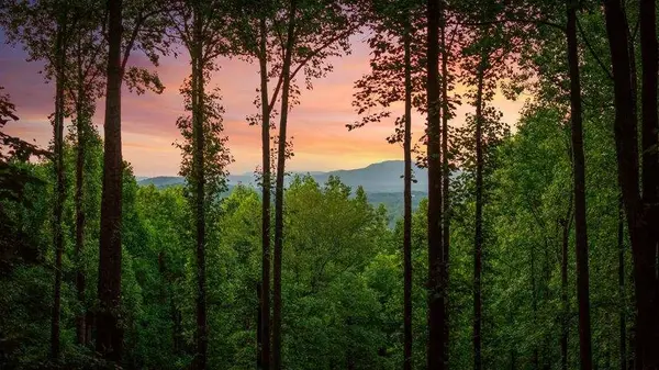 391 Little Bushy Head RD, Blue Ridge, GA 30513