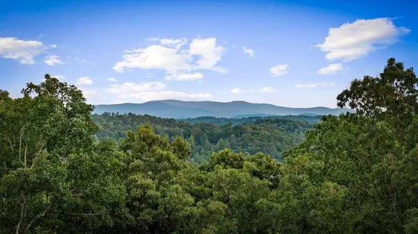 241 Wolf Creek Mountain RD, Mineral Bluff, GA 30559