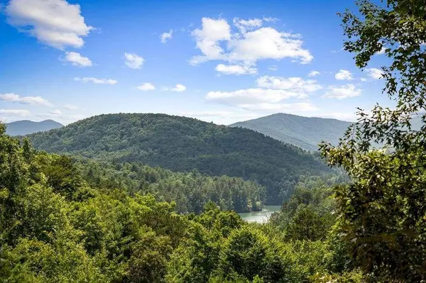 93 Misty Mountain TRL, Morganton, GA 30560