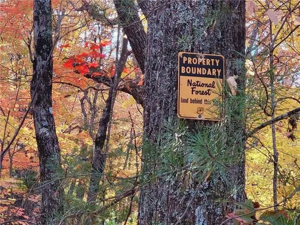 LOT 18 Cub TRL, Cherry Log, GA 30522