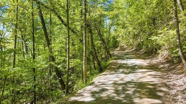 LOT 18 Cub TRL, Cherry Log, GA 30522