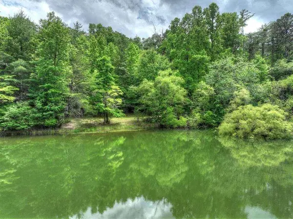 102 Captains CV, Blairsville, GA 30512