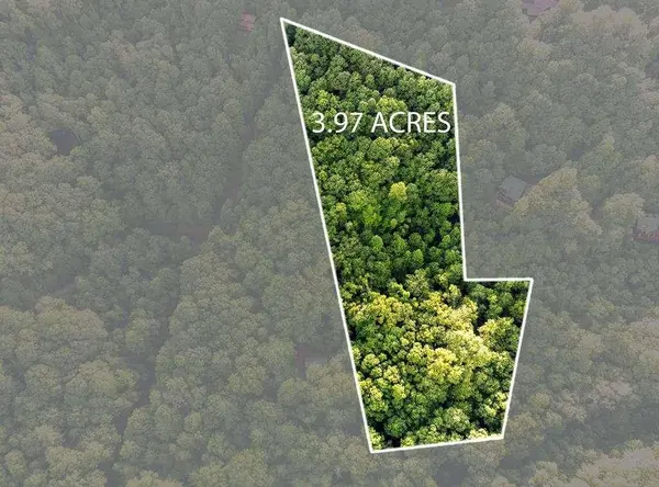 LOT 18 Cub TRL, Cherry Log, GA 30522