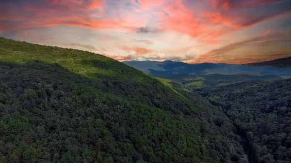 LOT 18 Cub TRL, Cherry Log, GA 30522