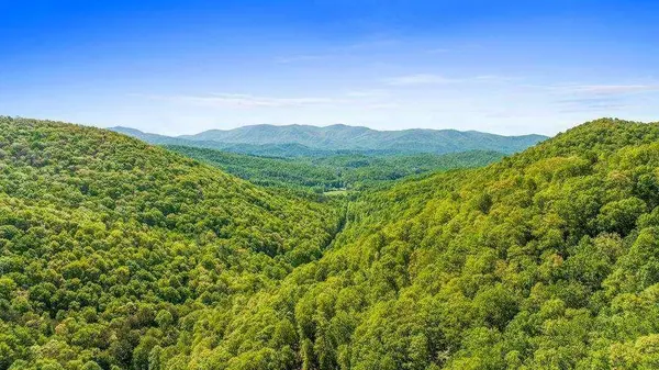 LOT 18 Cub TRL, Cherry Log, GA 30522