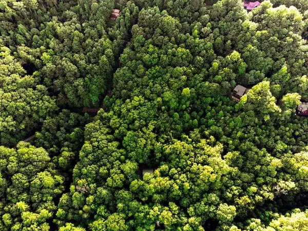 LOT 18 Cub TRL, Cherry Log, GA 30522