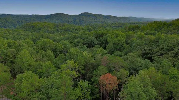 LOT 6 Allaire LN, Mineral Bluff, GA 30559