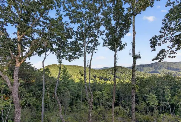 193 7 Figure Ridge, Blue Ridge, GA 30513