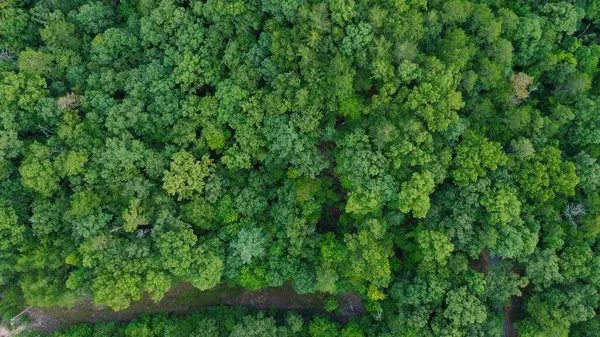 LOT 6 Allaire LN, Mineral Bluff, GA 30559