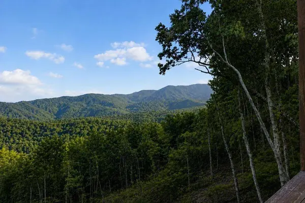 193 7 Figure Ridge, Blue Ridge, GA 30513