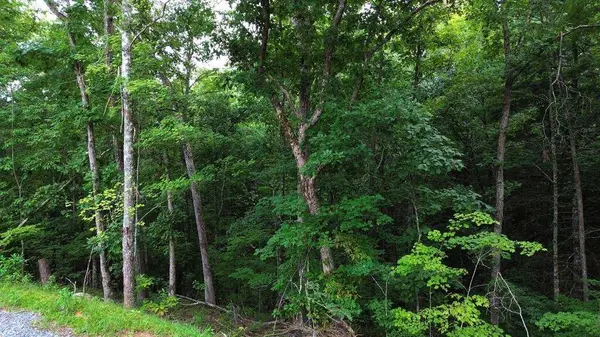 LOT 6 Allaire LN, Mineral Bluff, GA 30559
