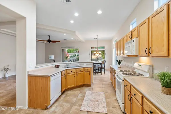 13724 N WILD HAZEL Lane, Marana, AZ 85658