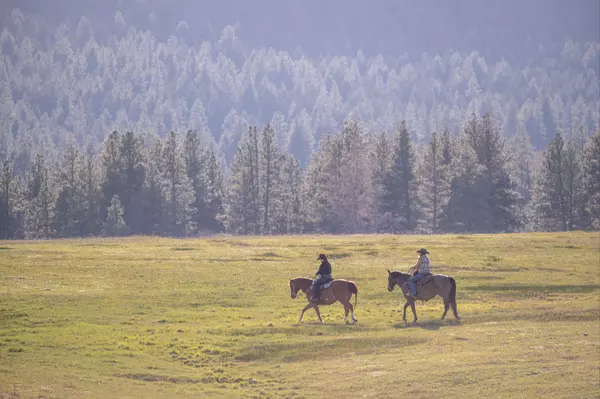Tapping Into the Land and Ranch Arena: A Growing Opportunity for Real Estate Agents