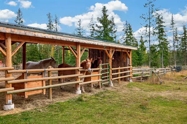 299 Washboard DR, Condon, MT 59826