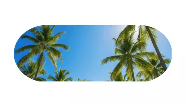 Everything you need to know about Tamarindo's weather