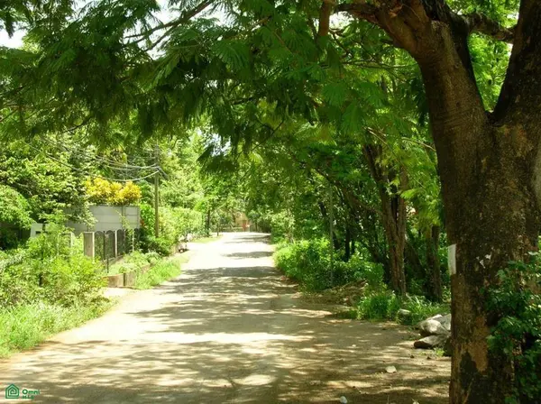 Beachside Corner Lot with Water | Walking Distance,