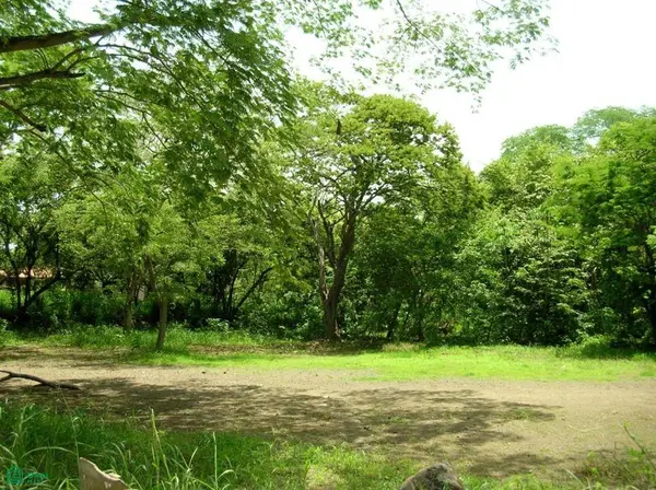 Beachside Corner Lot with Water | Walking Distance,