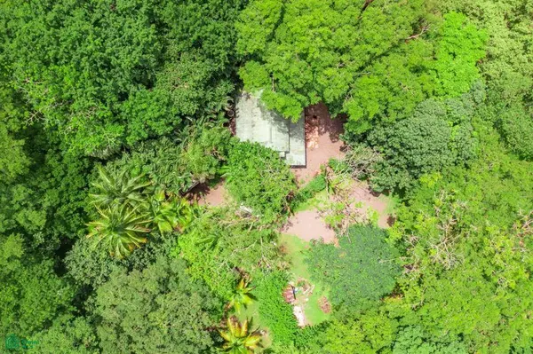 Los Pargos Playa Negra Lot w/ Private Well + Dwellings, Santa Cruz, 50303