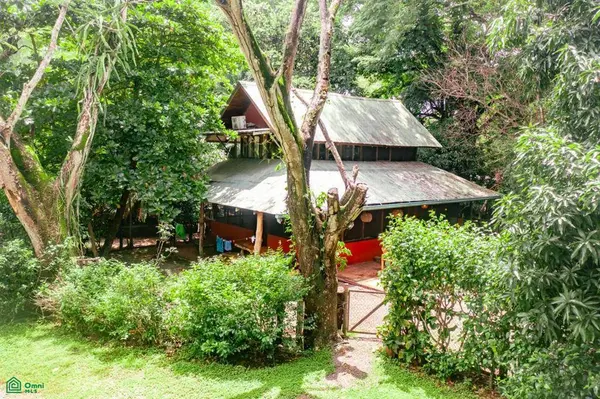 Los Pargos Playa Negra Lot w/ Private Well + Dwellings, Santa Cruz, 50303